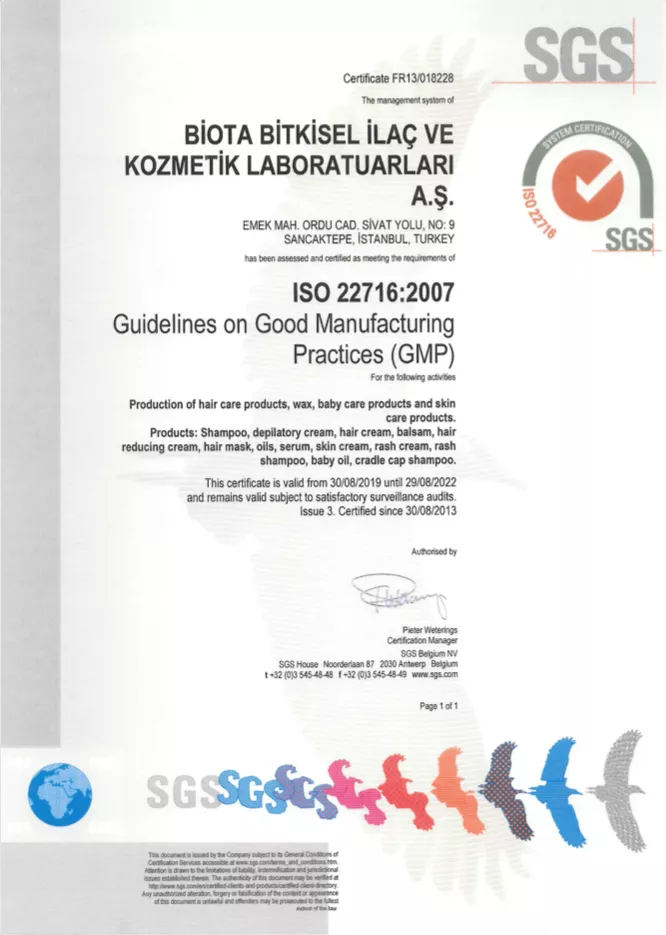 ISO 22716 - 2007