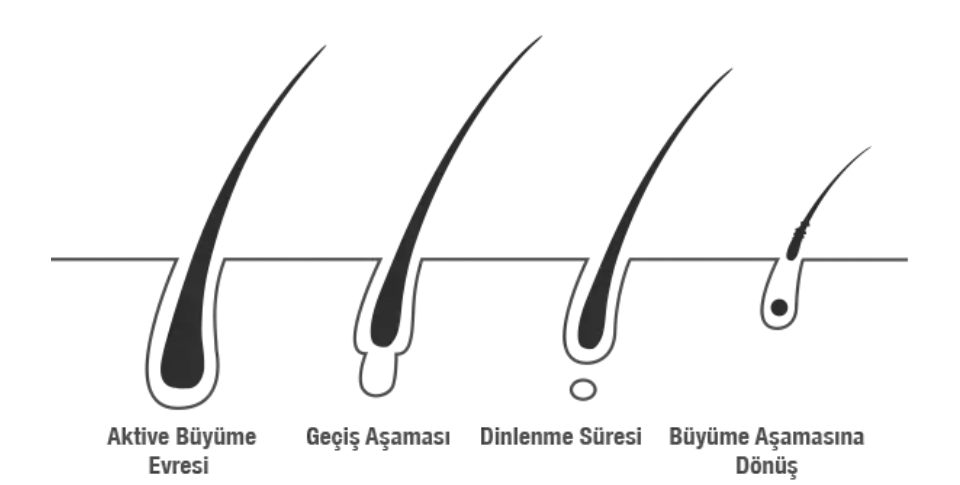 Bioblas