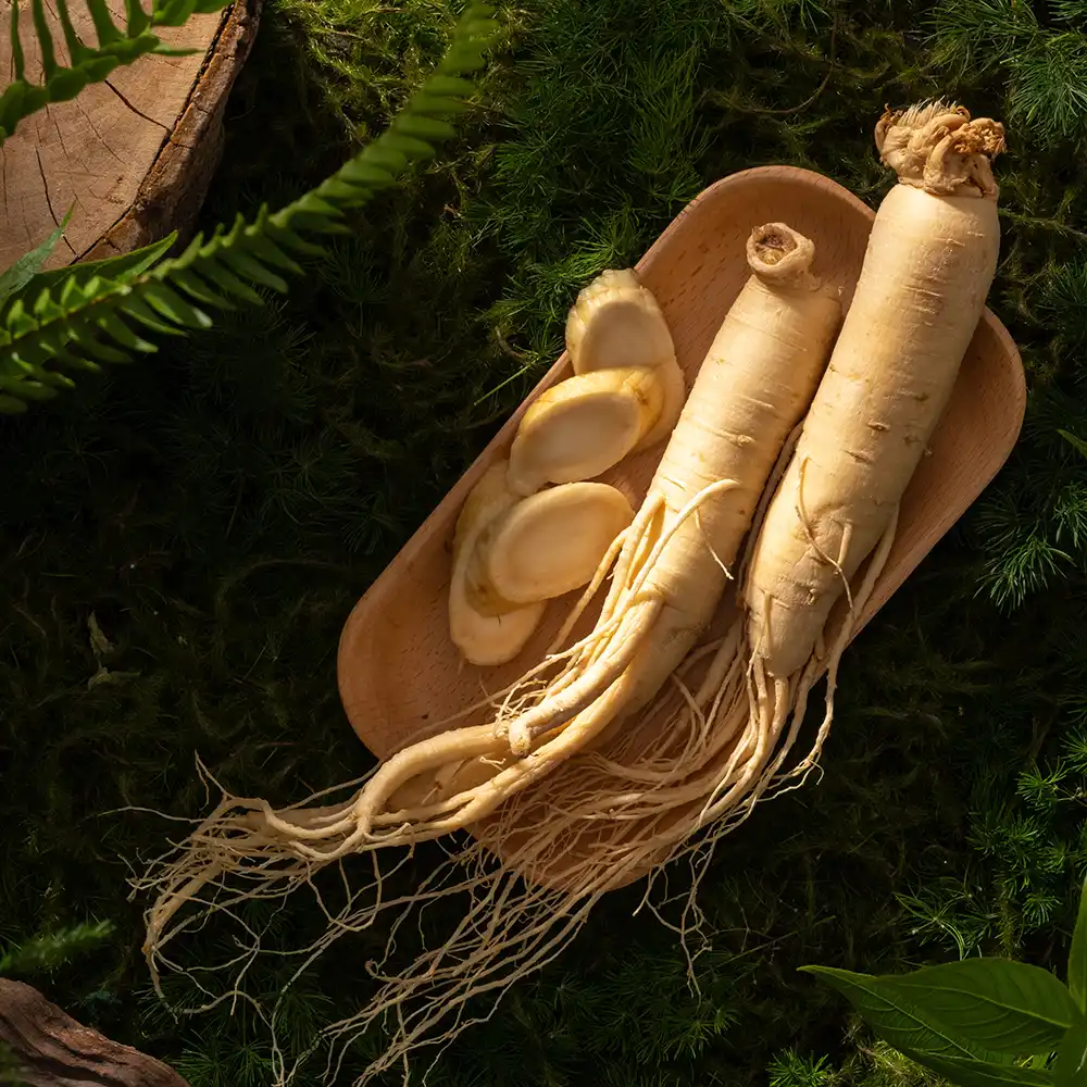 Ginseng Saç Sağlığını Nasıl Etkiler?